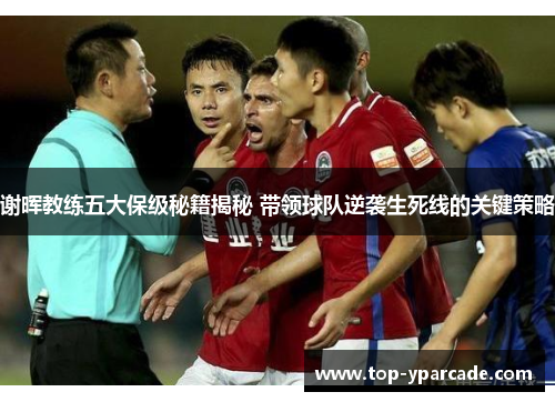 谢晖教练五大保级秘籍揭秘 带领球队逆袭生死线的关键策略 谢晖教练五大保级秘籍揭秘 带领球队逆袭生死线的关键策略