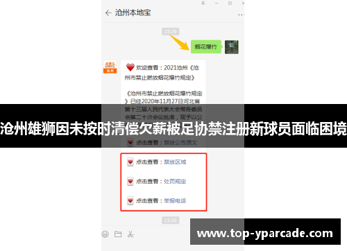 沧州雄狮因未按时清偿欠薪被足协禁注册新球员面临困境 沧州雄狮因未按时清偿欠薪被足协禁注册新球员面临困境