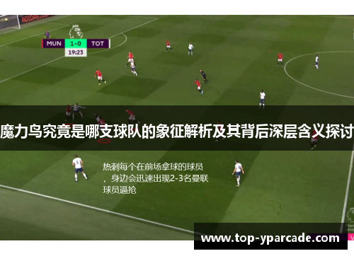 魔力鸟究竟是哪支球队的象征解析及其背后深层含义探讨